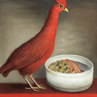 poule rousse près de son plat