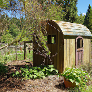 vieille cabane de jardin